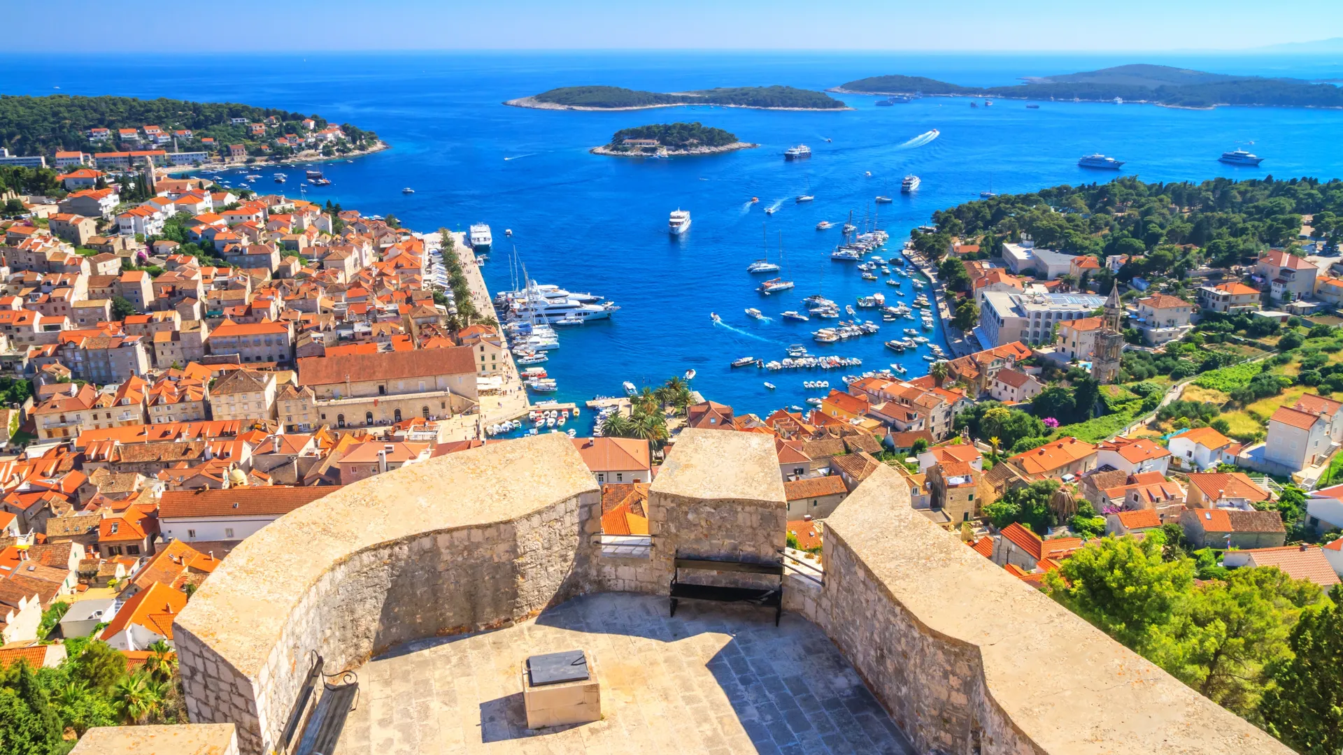 shutterstock_2265577417