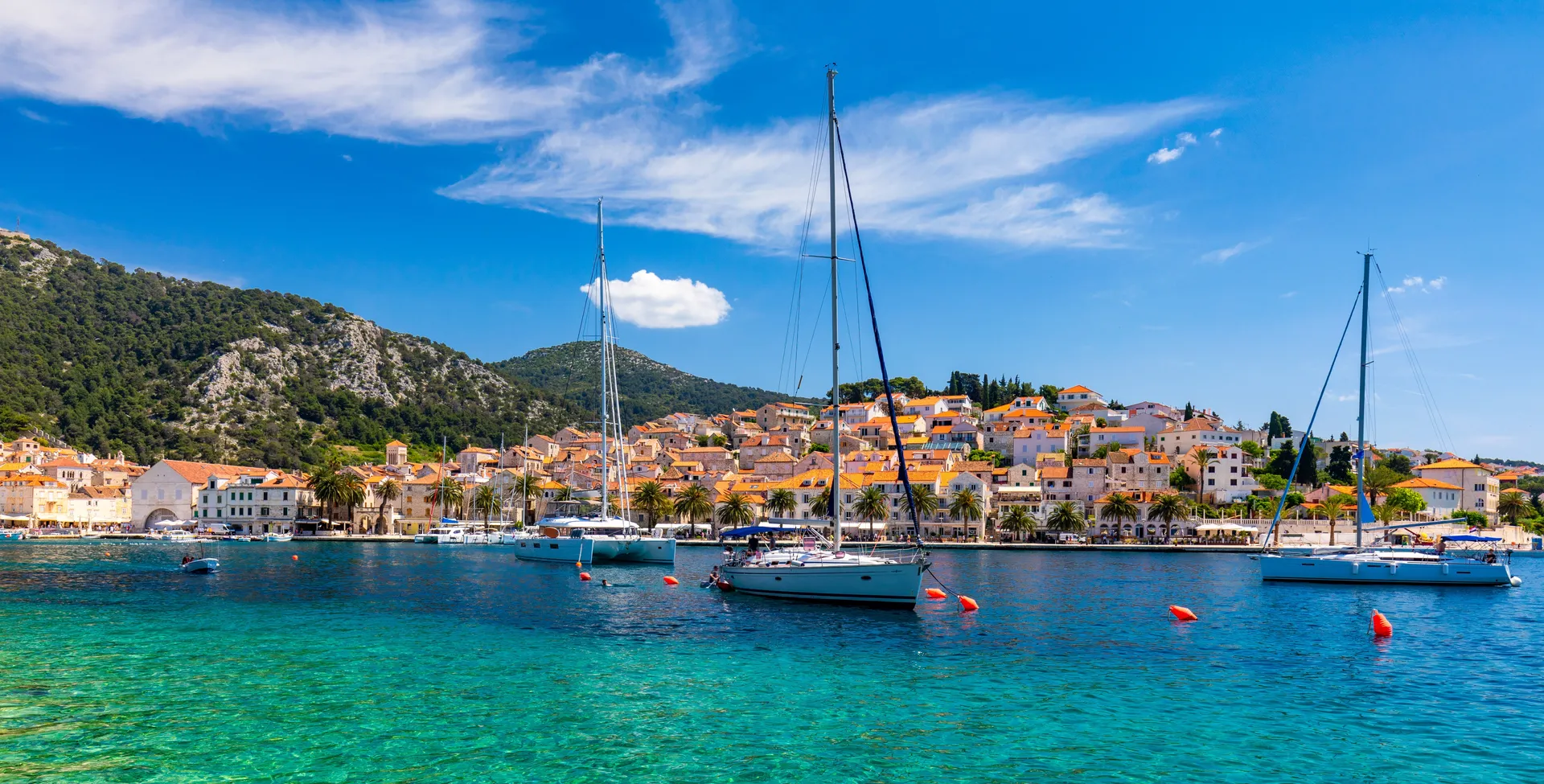 shutterstock_2292901059